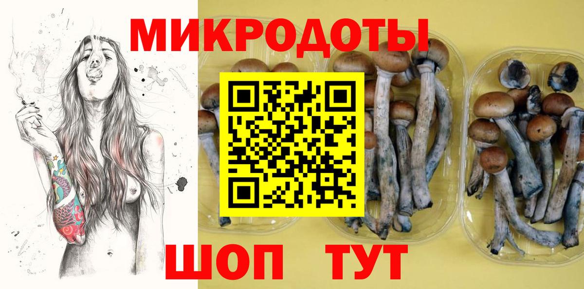 Кингисепп  Псилоцибиновые грибы прущие грибы  Вход с VPN 