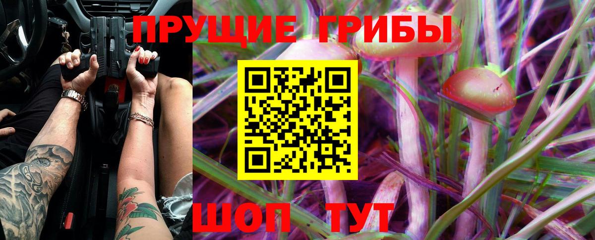 Псилоцибиновые грибы мухоморы Кингисепп